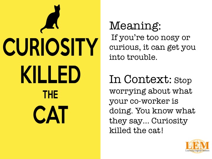 Curiosity killed the cat Learning English Matters
